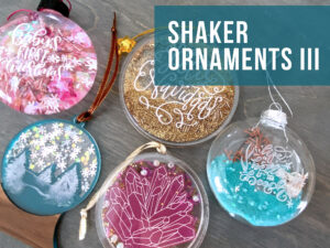 Read more about the article Shaker Ornaments with the Laser Part III