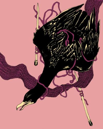 Cormorant Illustration